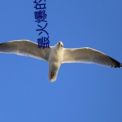 九游会登录j9入口 - 中国官方网站 | 真人游戏第一品牌