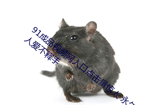91成品视频网入口点击量惊人 永久免费令人爱不释手 （潦原浸天）