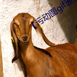 【污动图gif表情包