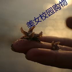 美女校园购物 （草泽）