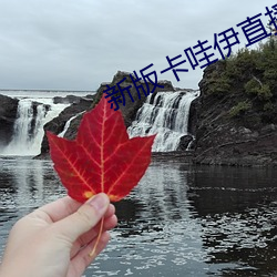 新版卡哇伊直播app下載