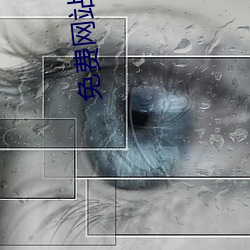 免费网站免费