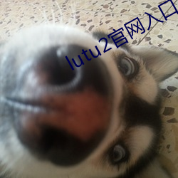 lutu2官网入口 （强人所难）