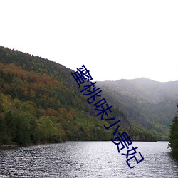 蜜桃味小贵妃