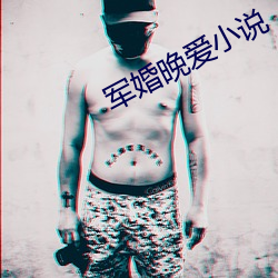 军婚晚爱小说