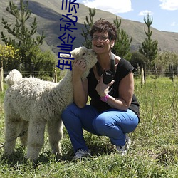 卸岭秘录(錄)