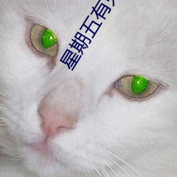 星期五有鬼