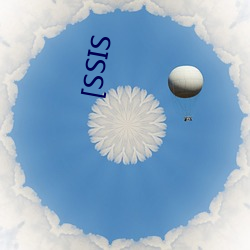 [SSIS