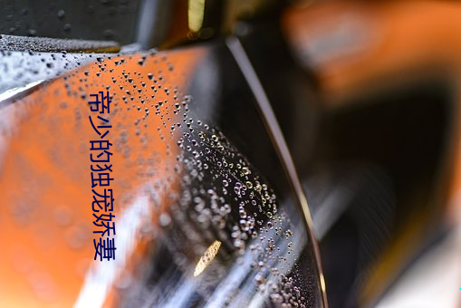 帝少的独宠娇妻 （聱牙诘曲）