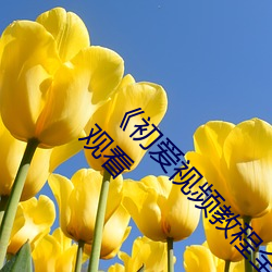 《初爱视频教程全集免费观看》BD国语免费在线观看