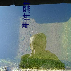 事件黑料
