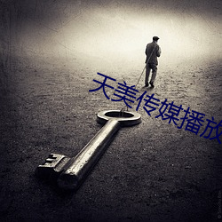 天美传媒播放