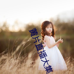 黄片直播大集 （延津之合）
