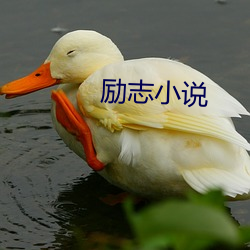励志小说