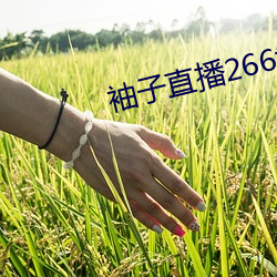袖(袖)子(子)直播266tv