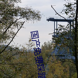 国(gu)产免费(fèi)踩踏调教视频(pn)