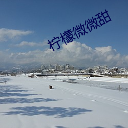 柠(檸)檬(檬)微(微)微甜(甜)