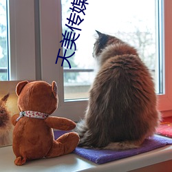 天美传媒在线看 （铁将军）