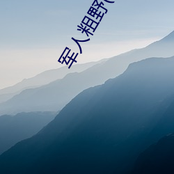 军人(人)粗(粗)野(野)(H)NP