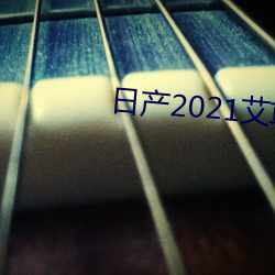 日产2021艾草