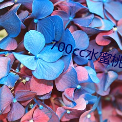 700cc水蜜桃