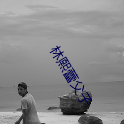 林熙蕾父子 义理）