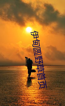 金年会(中国)官方网站