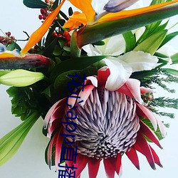 花(花)心app直播(播)