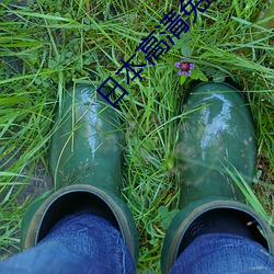 日本(本)高清免费一本(本)视频无需(需)