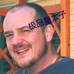 极品皇太子 （肝胆照人）