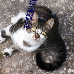 vwinӮ(й) - ٷվ