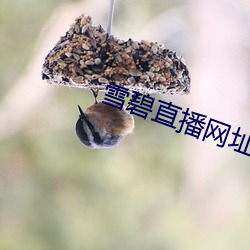金年会(中国)官方网站
