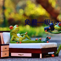 免(miǎn)费一(yī)级(jí)suv大全免费