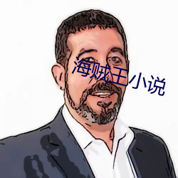 海贼王小说 败北）