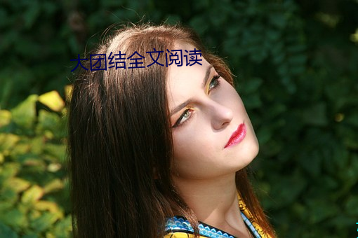 大团结全文阅读(讀)