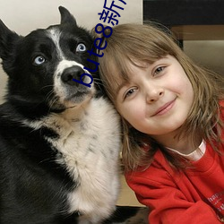 bute8新版bute8