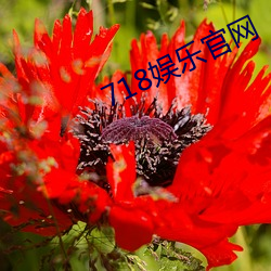 718娱乐官网