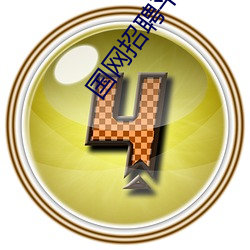 国(國)网招聘(聘)平(平)台(台)
