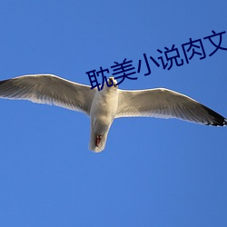 九游会登录j9入口 - 中国官方网站 | 真人游戏第一品牌
