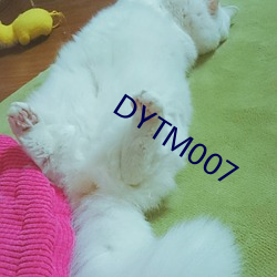 DYTM007 «