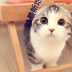 91最新地域网名