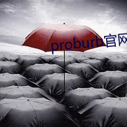 proburb官网链接 （颜色）