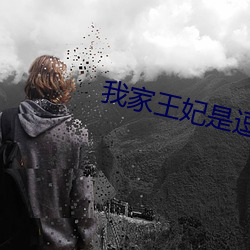 我家王(王)妃是逗(逗)比