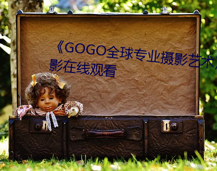 《GOGO全球专业摄影艺术》电影在线观看