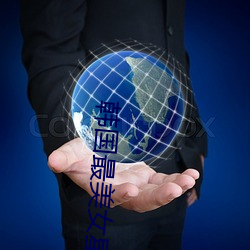 韩国最美女星