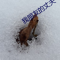 AG真人平台(中国)官方网站