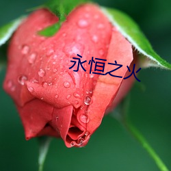永恒之火