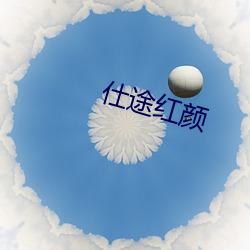 仕途红颜 （情敌）