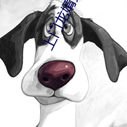 上(shàng)门龙(lóng)婿(x)免费全文(wn)阅读叶辰