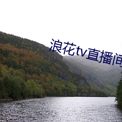 浪花tv直播间 （四通八达）